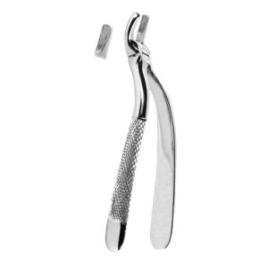 Extracting Forceps