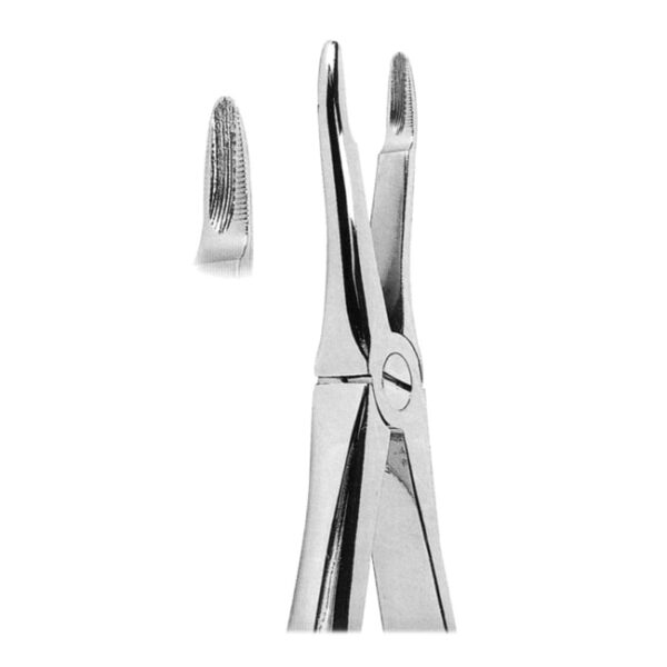 Extracting Forceps