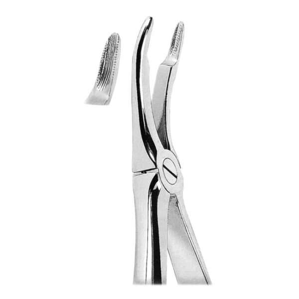 Extracting Forceps