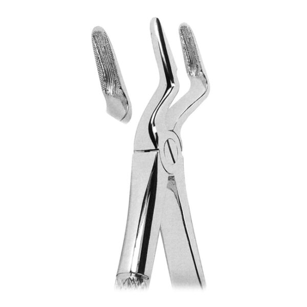 Extracting Forceps