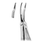 Extracting Forceps