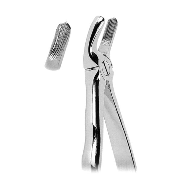 Extracting Forceps with Anatomically Shaped Handle