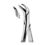 Extracting Forceps American Pattern