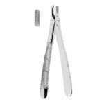 Extracting Forceps American Pattern