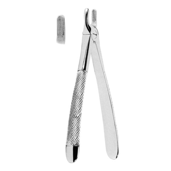 Extracting Forceps American Pattern