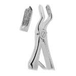 Extracting Forceps For Children- Klein Pattern