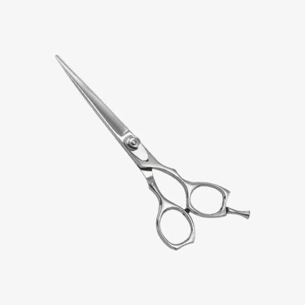 Professional Razor Shears