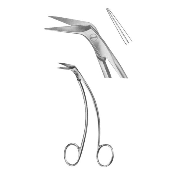 Oral Scissors