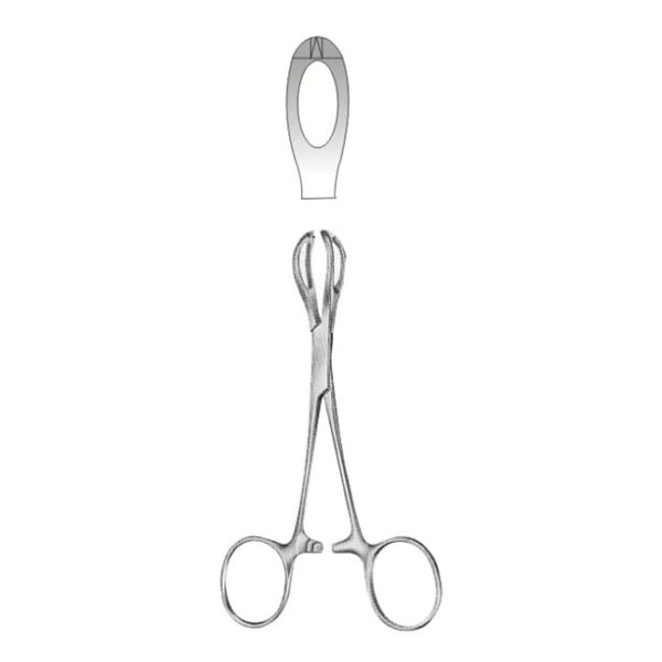 Tissue Forceps