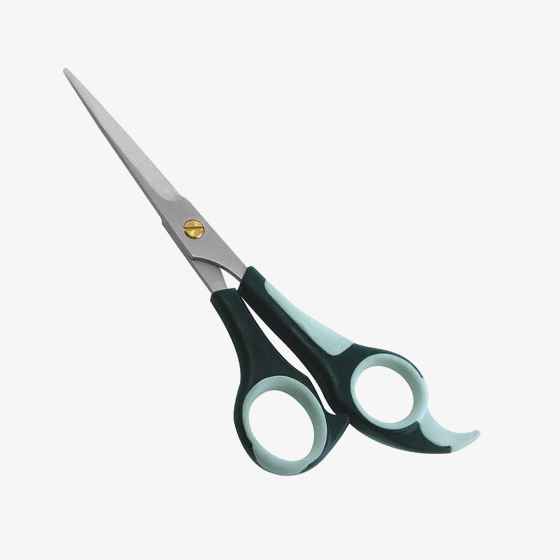 Barber Shears