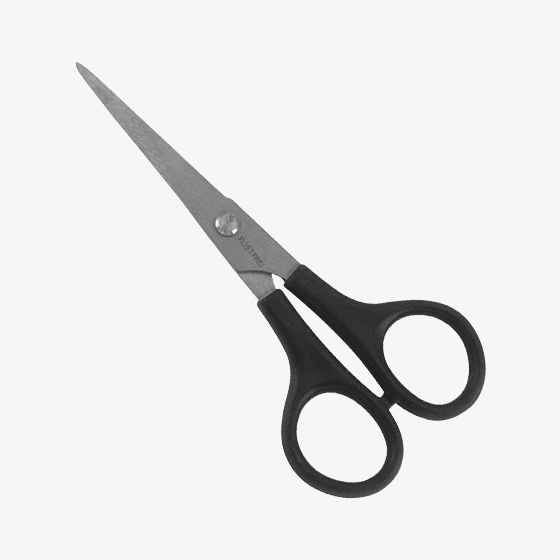 Barber Shears